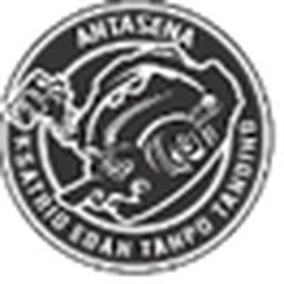 Logo CLUB AIRSOFTER ANTASENA